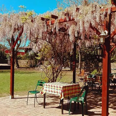 Kemp Internazionale Di Castelfusano Lido di Ostia