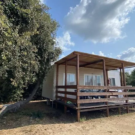 Campsite Internazionale Di Castelfusano *