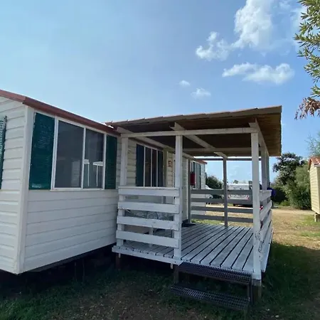 Campsite Internazionale Di Castelfusano