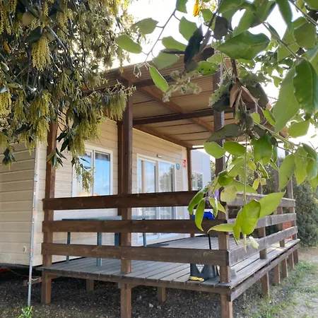 Internazionale Di Castelfusano Lido di Ostia