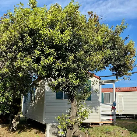 Internazionale Di Castelfusano Campsite Lido di Ostia