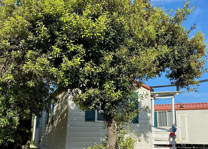 露营国际米兰迪卡斯特儿福萨诺酒店 营地 丽都迪奥斯蒂亚